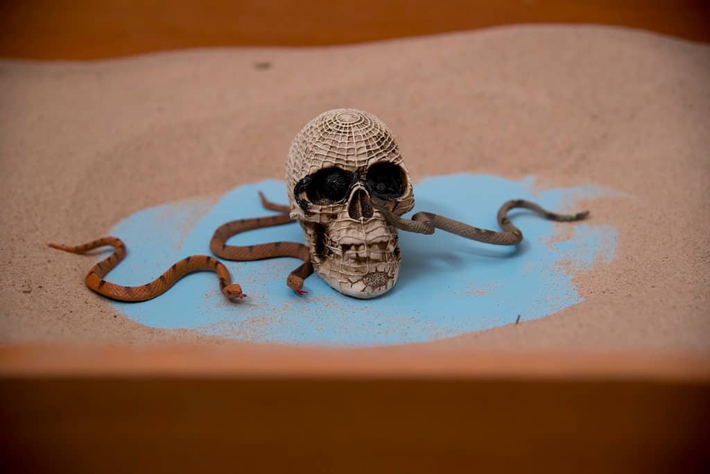 sandplay skull snakes death symbol